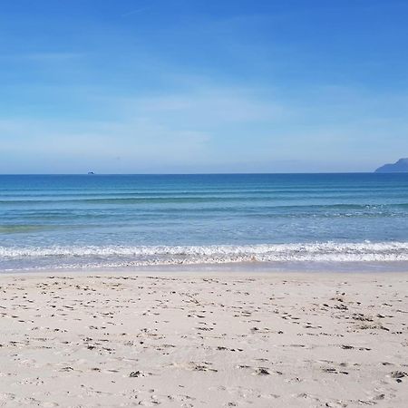 Ideal Property Mallorca - Delicias 알쿠디아 외부 사진