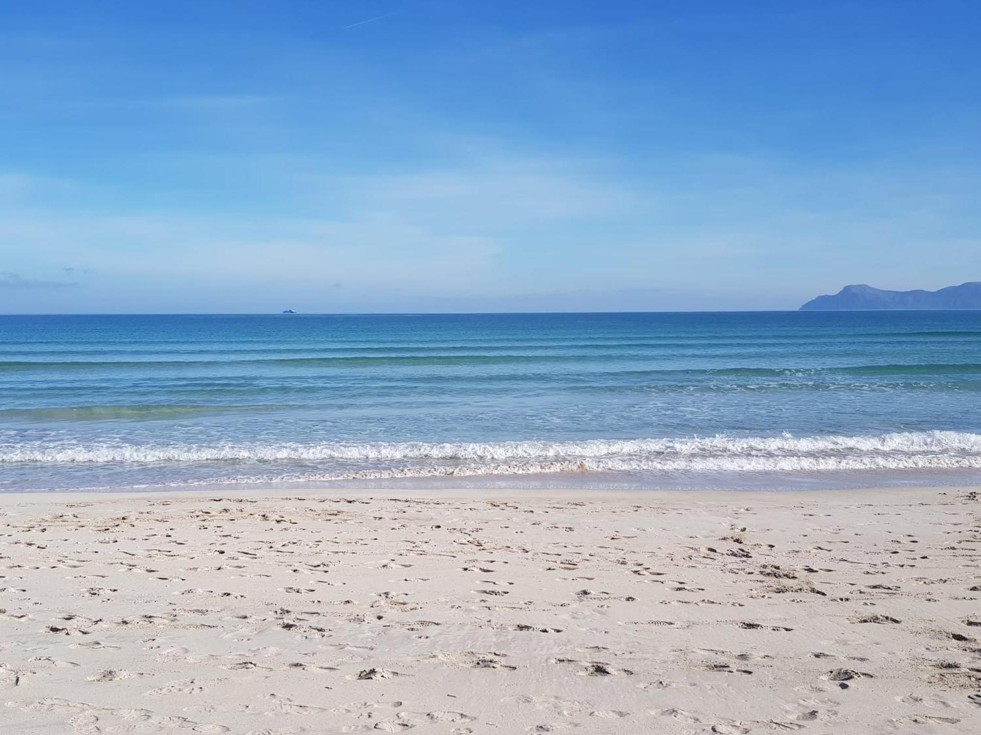 Ideal Property Mallorca - Delicias 알쿠디아 외부 사진